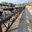 #8624-•-carry-away-conveyor-unit-(maq)-image-22