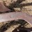 international-4-bottom-plow-image-3
