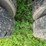 #4421-•-international-eagle-grain-truck-(no-title)-image-69