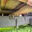 #4421-•-international-eagle-grain-truck-(no-title)-image-16