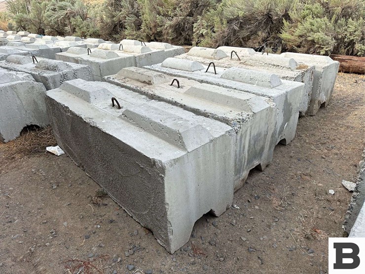 ecology-blocks-(b)-image-1
