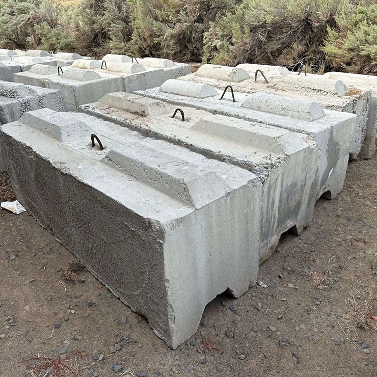 Ecology Blocks (B)