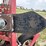 wil-rich-36’-quad-5-field-cultivator-w/harrow-image-18