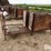 raised-calf-crates-image-4