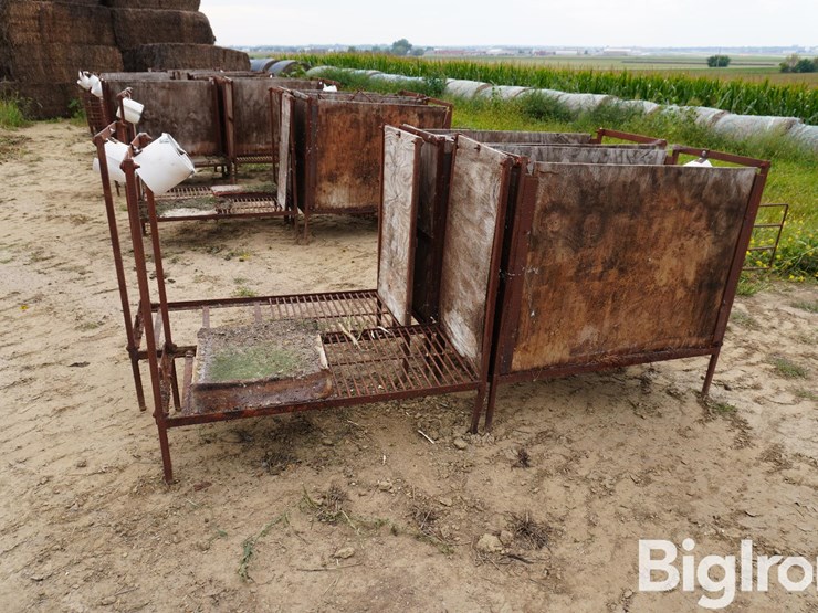 raised-calf-crates-image-4