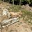 #161-•-gangsaw-entirety-lots-150-160-image-5