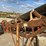 #8626-•-conveyor-unit-(maq)-image-37