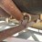 #8629-•-conveyor-unit-(maq)-image-36