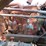 international-td14-image-7