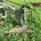 #4462-•-john-deere-(4)-bottom-plow-image-3