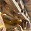 2004-caterpillar-953c-image-19