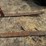 3pt-pak-forks-image-7