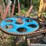 #153-•-pats-barn-sweep-conveyor-image-18