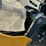 #1601-•-unused-sdle20-mini-excavator-image-15