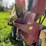 new-holland-355-image-16