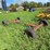 #4438-•-running-gear-image-7