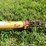 #4476-•-westfield-80-51-auger-elevator-image-4