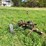 john-deere-11-image-2