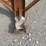 #8627-•-carry-away-conveyor-unit-(maq)-image-21