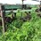 #4462-•-john-deere-(4)-bottom-plow-image-12