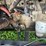 #4421-•-international-eagle-grain-truck-(no-title)-image-56