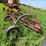 new-holland-super-55-image-4
