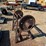 vintage-wood-saw-image-3