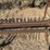antique-hay-rake-image-13