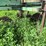 #4462-•-john-deere-(4)-bottom-plow-image-11