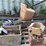 #150-•-daul-arbor-gangsaw-image-81