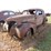 1939-chevrolet-master-image-3