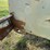 #8610-•-dual-axle-generator-trailer-(no-title)-(aps)-image-22