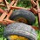 #4467-•-fox-brady-18'-digger-image-5