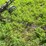 john-deere-11-image-5
