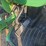 john-deere-4410-image-20