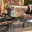 #153-•-pats-barn-sweep-conveyor-image-22