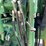 john-deere-6200-image-25