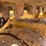 2020-caterpillar-259d3-image-11