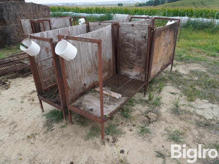 raised-calf-crates-image-5