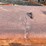 #8633-•-hobart-powerweld-303-welder-trailer-(maq)-image-44