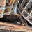 #8630-•-dickerson-twin-roll-rap-lump-breaker-(maq)-image-26