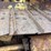 caterpillar-d4d-image-31