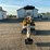 #1601-•-unused-sdle20-mini-excavator-image-2