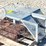 3--live-traps-image-1