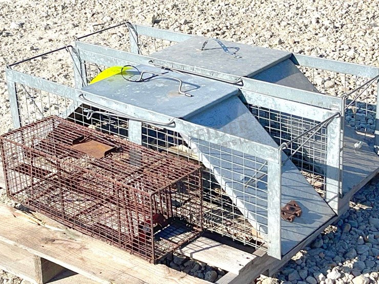 3--live-traps-image-1