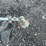 cub-cadet-combo-unit-with-weed-whip-head-image-4