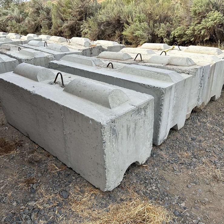 Ecology Blocks (A)