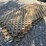 #116-•-wood-lattice-paneling---4'-x-8'-image-2
