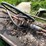 #4453-•-portable-fuel-tank-image-9
