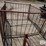 sydel-style-sheep-hay-feeder-image-8